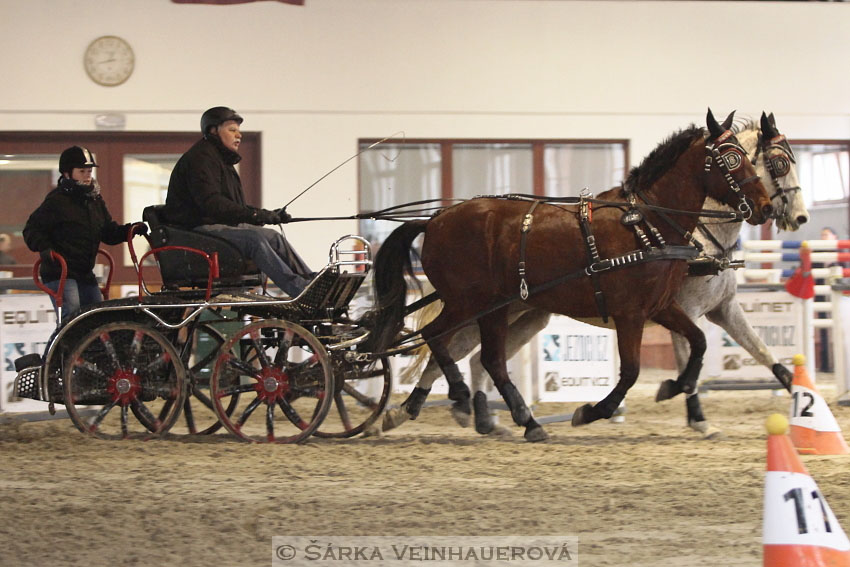 Zimní Jezdecký pohár spřežení 2016 - Brno