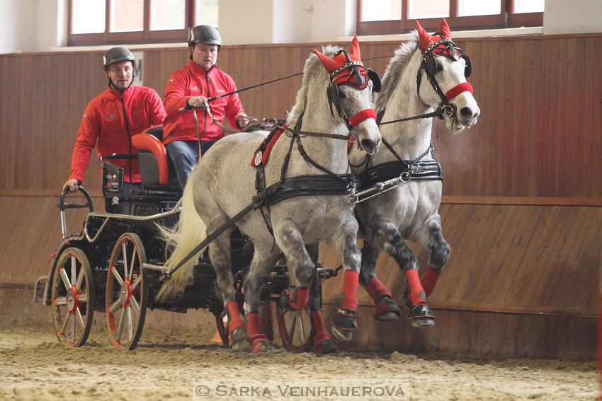 Zimní Jezdecký pohár spřežení 2016 - Brno