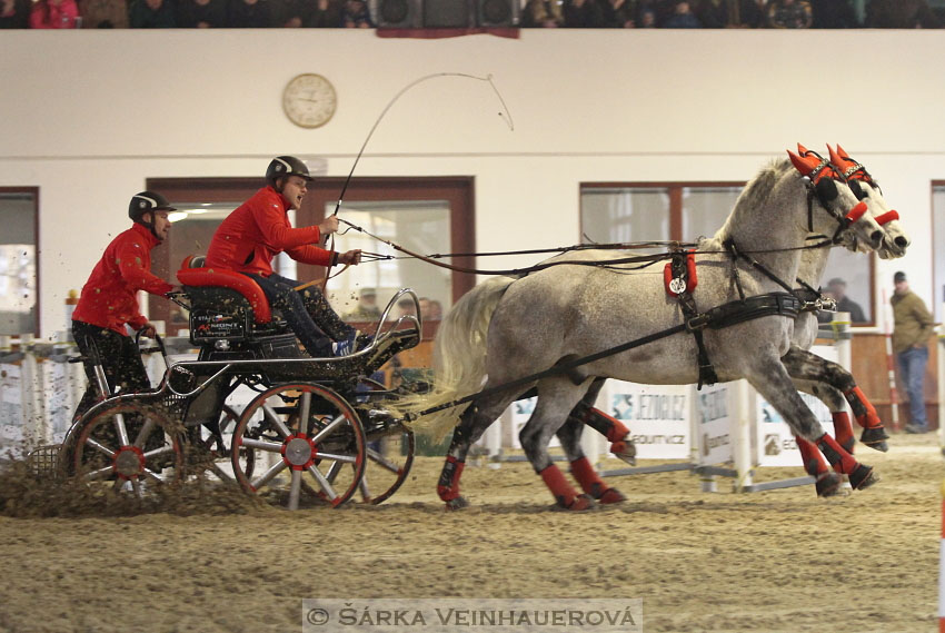 Zimní Jezdecký pohár spřežení 2016 - Brno