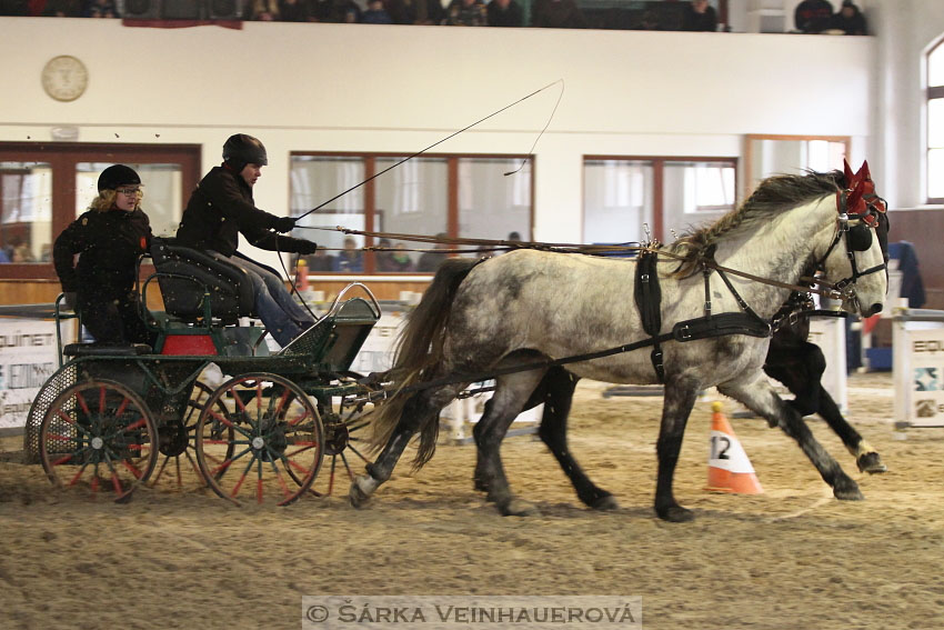 Zimní Jezdecký pohár spřežení 2016 - Brno