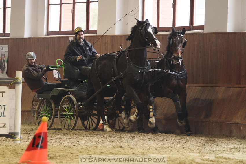 Zimní Jezdecký pohár spřežení 2016 - Brno