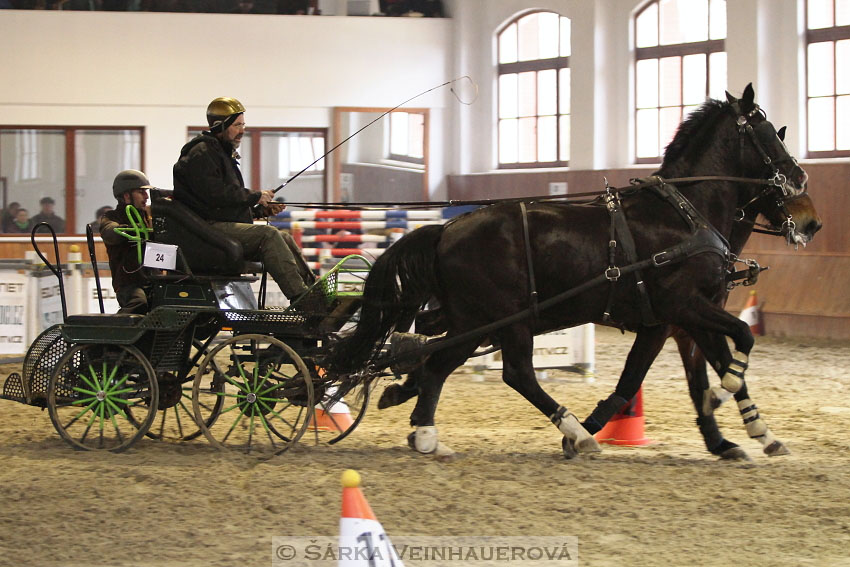 Zimní Jezdecký pohár spřežení 2016 - Brno