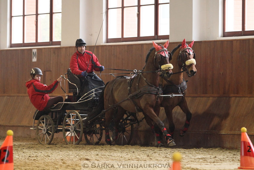 Zimní Jezdecký pohár spřežení 2016 - Brno