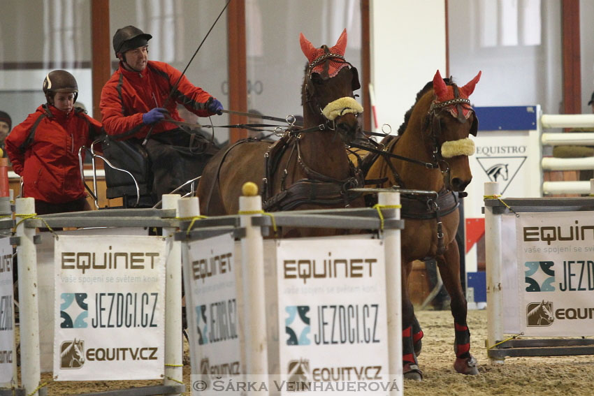 Zimní Jezdecký pohár spřežení 2016 - Brno