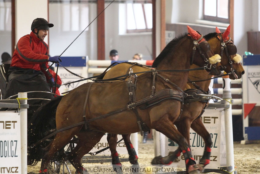 Zimní Jezdecký pohár spřežení 2016 - Brno