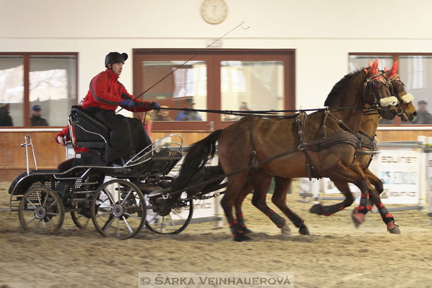 Zimní Jezdecký pohár spřežení 2016 - Brno