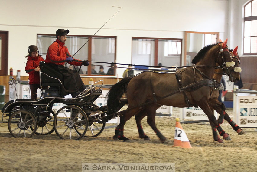 Zimní Jezdecký pohár spřežení 2016 - Brno