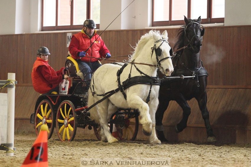 Zimní Jezdecký pohár spřežení 2016 - Brno