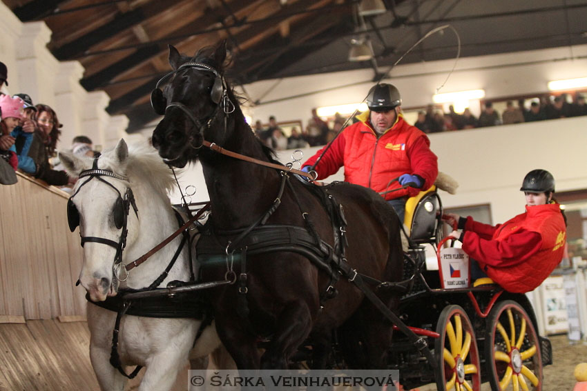 Zimní Jezdecký pohár spřežení 2016 - Brno