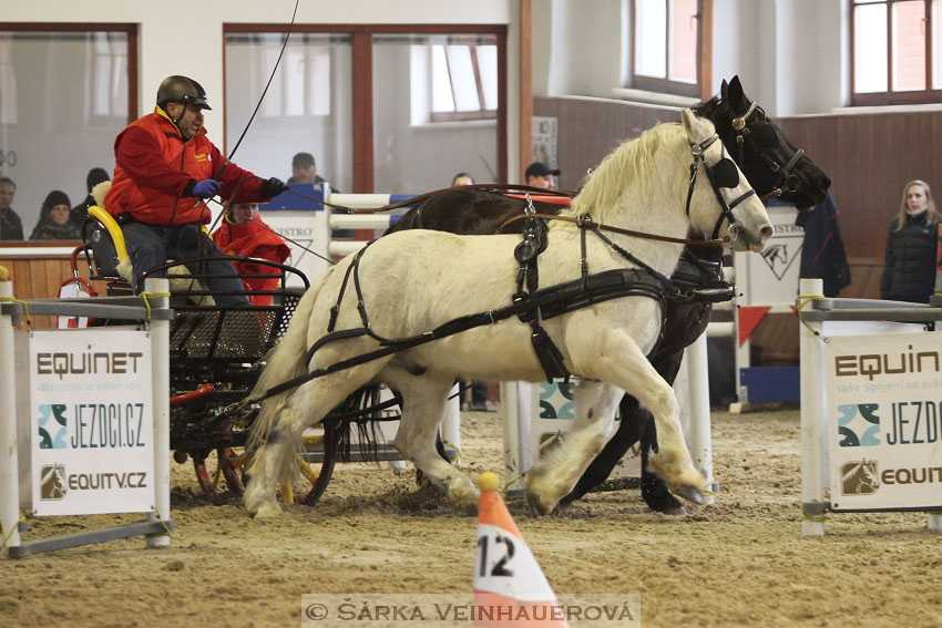 Zimní Jezdecký pohár spřežení 2016 - Brno