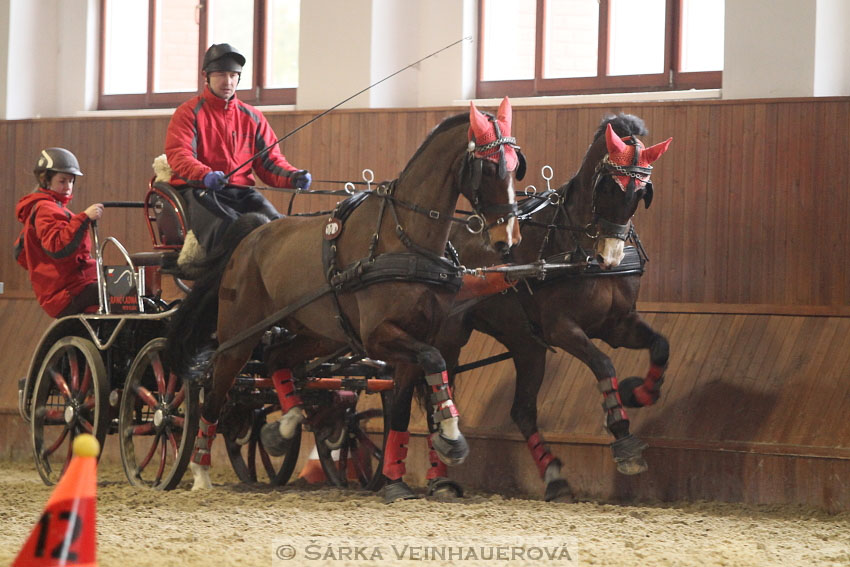 Zimní Jezdecký pohár spřežení 2016 - Brno