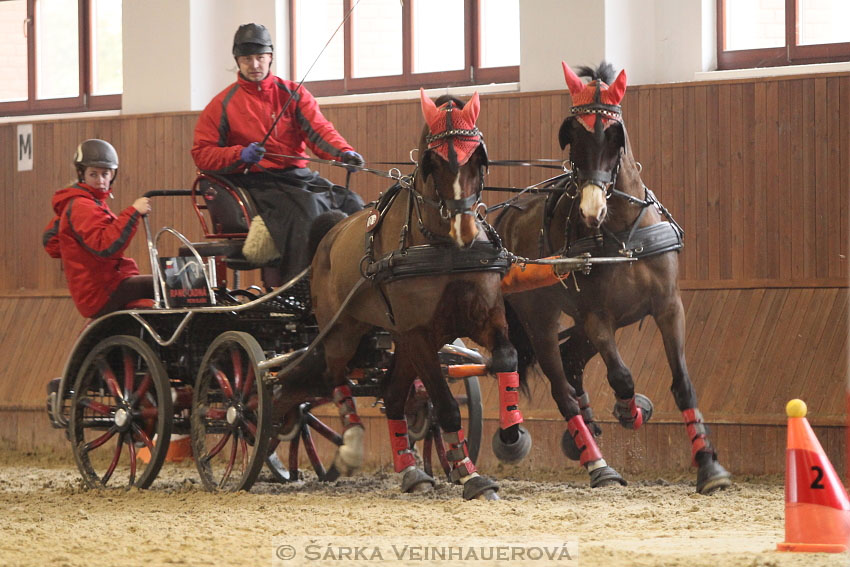 Zimní Jezdecký pohár spřežení 2016 - Brno