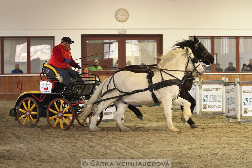 Zimní Jezdecký pohár spřežení 2016 - Brno