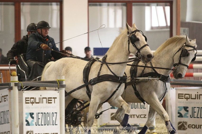 Zimní Jezdecký pohár spřežení 2016 - Brno