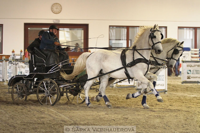 Zimní Jezdecký pohár spřežení 2016 - Brno