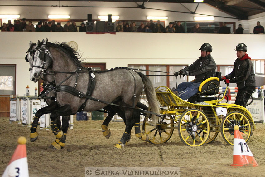 Zimní Jezdecký pohár spřežení 2016 - Brno