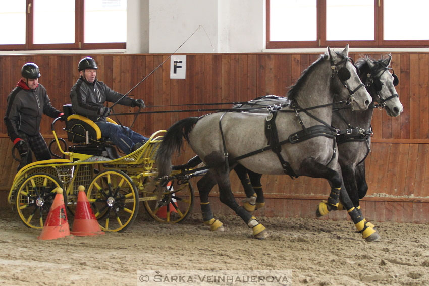 Zimní Jezdecký pohár spřežení 2016 - Brno