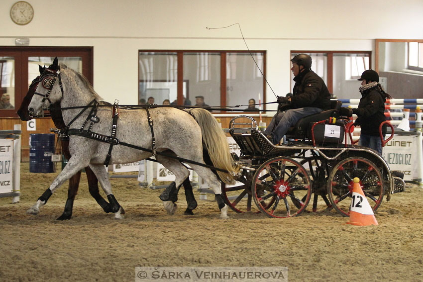 Zimní Jezdecký pohár spřežení 2016 - Brno