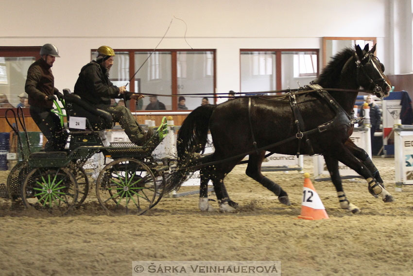 Zimní Jezdecký pohár spřežení 2016 - Brno