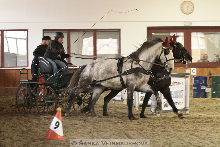 Zimní Jezdecký pohár spřežení 2016 - Brno