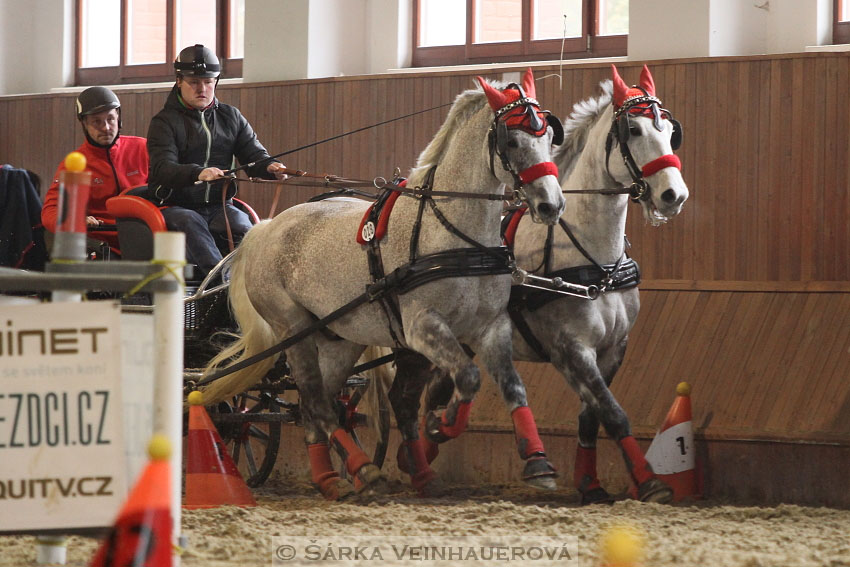 Zimní Jezdecký pohár spřežení 2016 - Brno