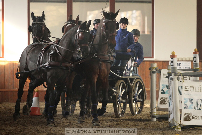 Zimní Jezdecký pohár spřežení 2016 - Brno