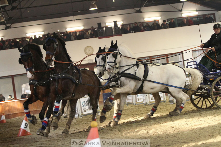 Zimní Jezdecký pohár spřežení 2016 - Brno