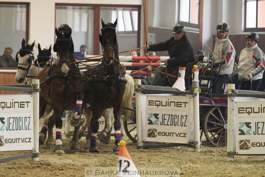 Zimní Jezdecký pohár spřežení 2016 - Brno