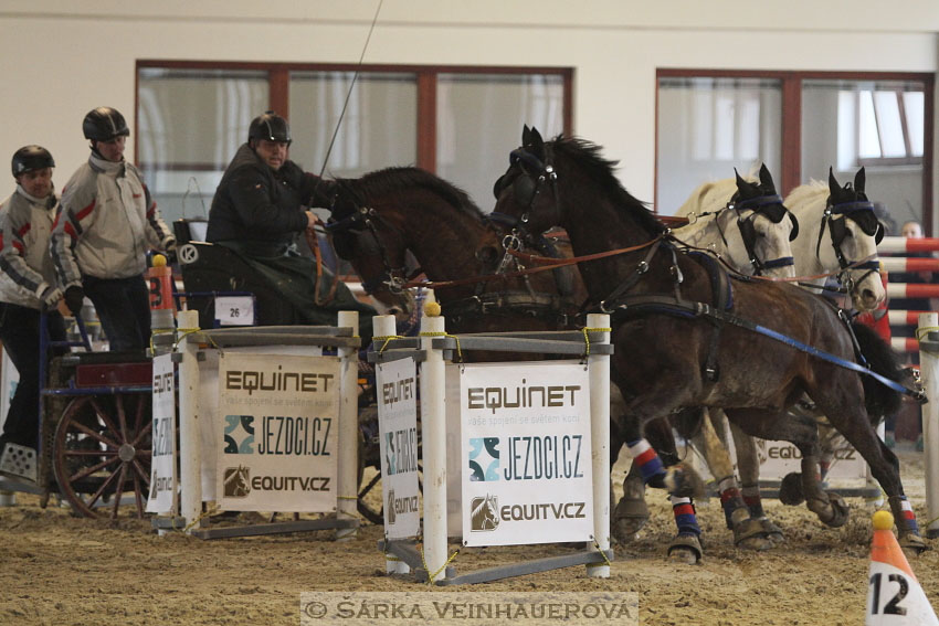 Zimní Jezdecký pohár spřežení 2016 - Brno