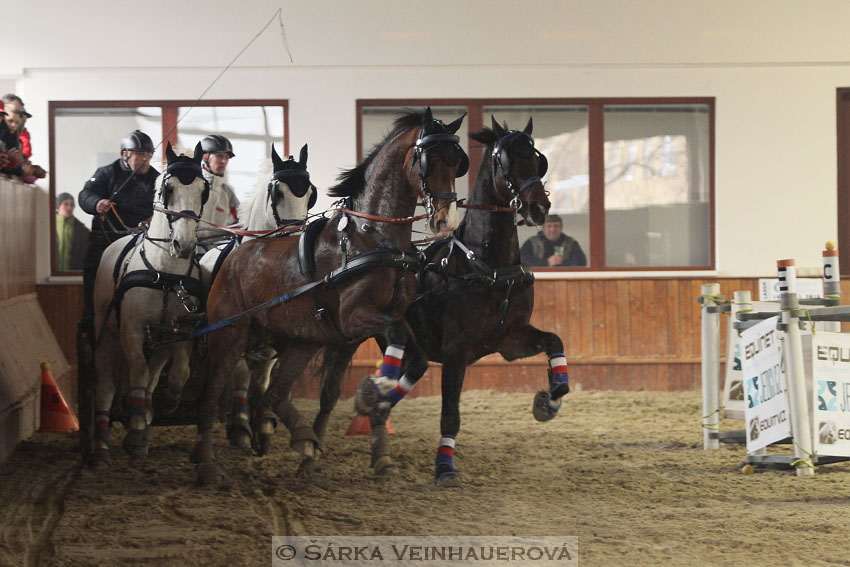 Zimní Jezdecký pohár spřežení 2016 - Brno