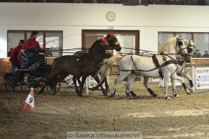 Zimní Jezdecký pohár spřežení 2016 - Brno