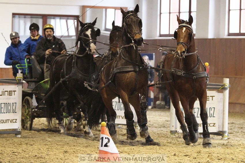 Zimní Jezdecký pohár spřežení 2016 - Brno