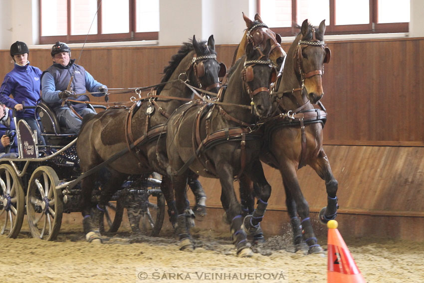 Zimní Jezdecký pohár spřežení 2016 - Brno