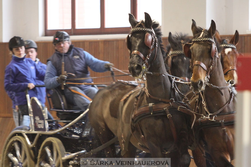 Zimní Jezdecký pohár spřežení 2016 - Brno