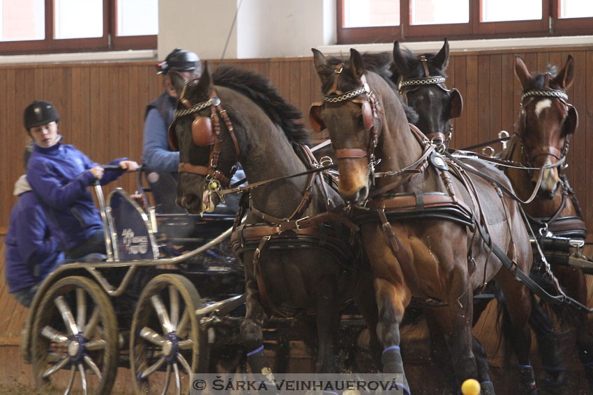 Zimní Jezdecký pohár spřežení 2016 - Brno