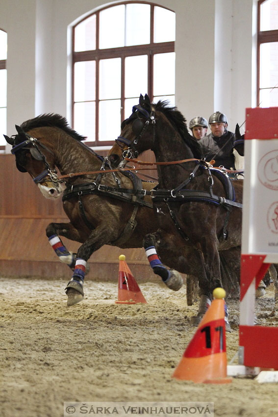 Zimní Jezdecký pohár spřežení 2016 - Brno