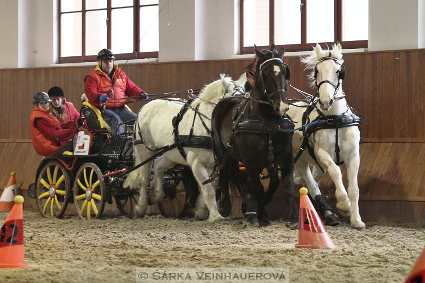 Zimní Jezdecký pohár spřežení 2016 - Brno