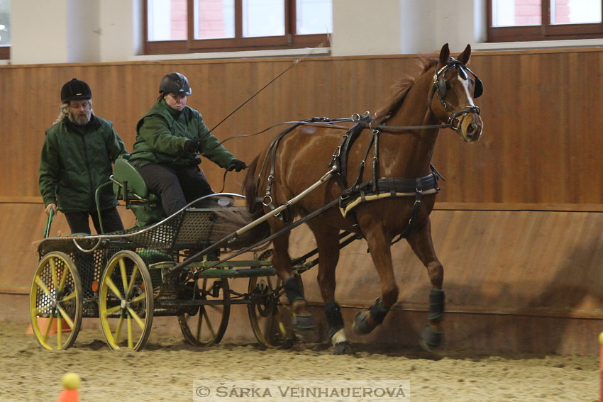 Zimní Jezdecký pohár spřežení 2016 - Brno