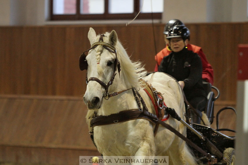 Zimní Jezdecký pohár spřežení 2016 - Brno