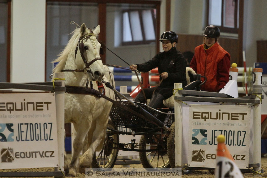 Zimní Jezdecký pohár spřežení 2016 - Brno