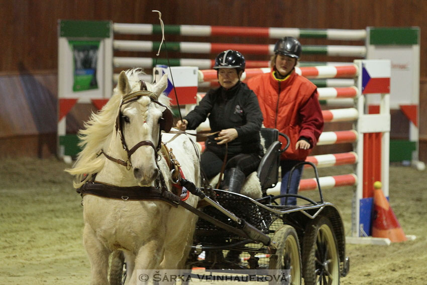 Zimní Jezdecký pohár spřežení 2016 - Brno