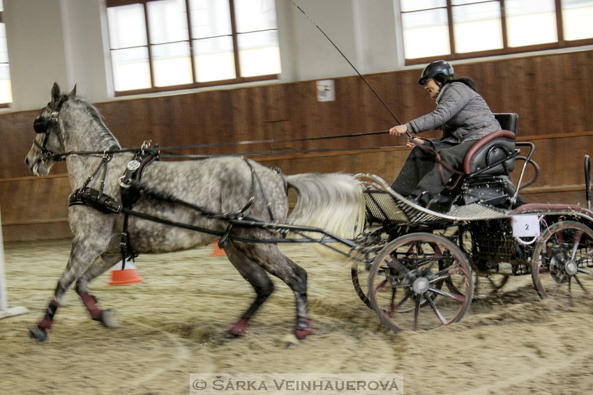 Zimní Jezdecký pohár spřežení 2016 - Brno