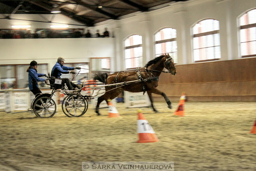 Zimní Jezdecký pohár spřežení 2016 - Brno