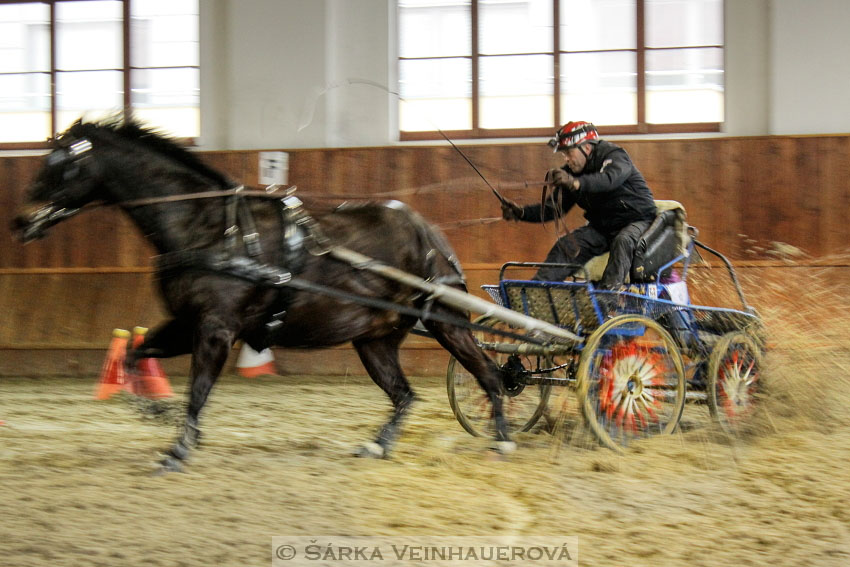 Zimní Jezdecký pohár spřežení 2016 - Brno