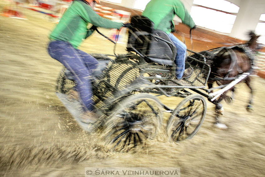 Zimní Jezdecký pohár spřežení 2016 - Brno