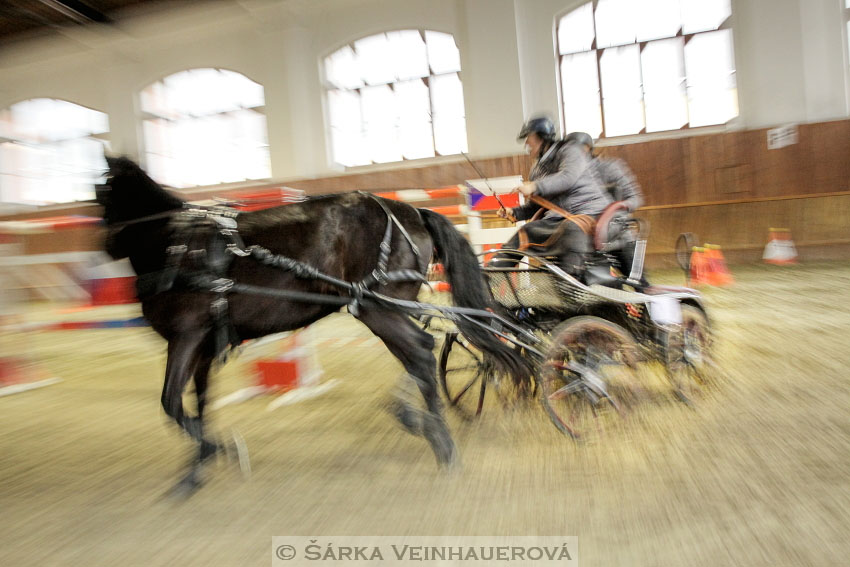 Zimní Jezdecký pohár spřežení 2016 - Brno