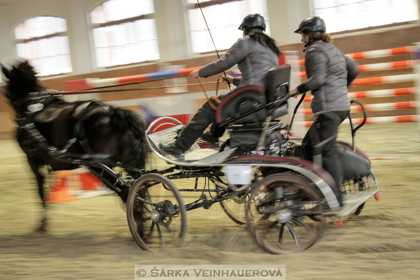 Zimní Jezdecký pohár spřežení 2016 - Brno