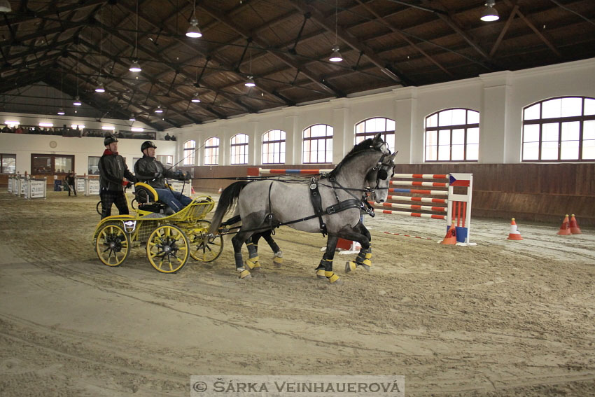 Zimní Jezdecký pohár spřežení 2016 - Brno