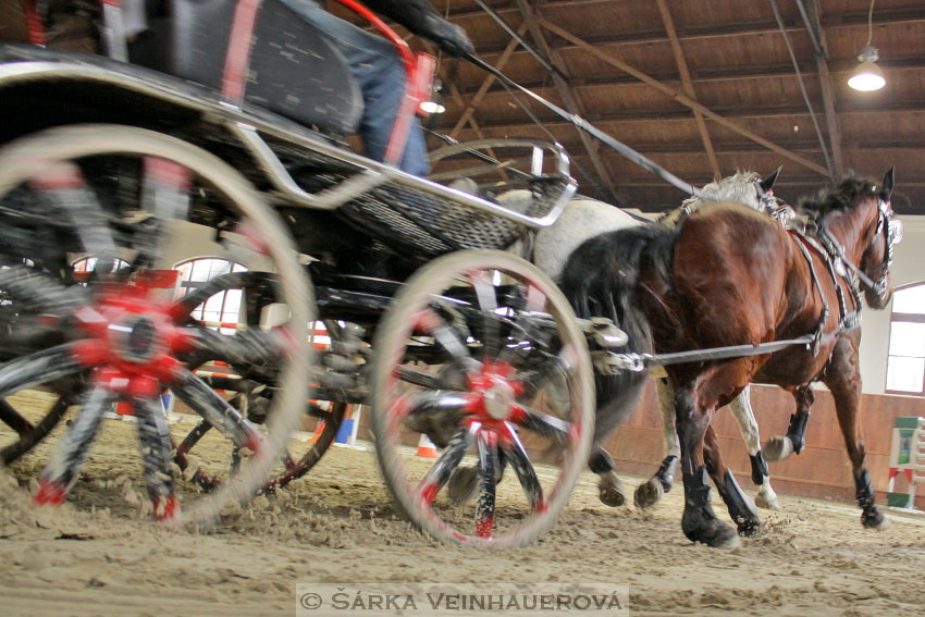 Zimní Jezdecký pohár spřežení 2016 - Brno