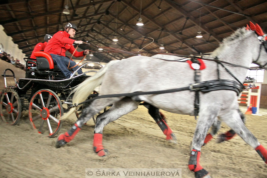 Zimní Jezdecký pohár spřežení 2016 - Brno